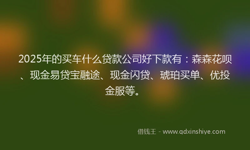 2025年的买车什么贷款公司好下款有：森森花呗、现金易贷宝融途、现金闪贷、琥珀买单、优投金服等。