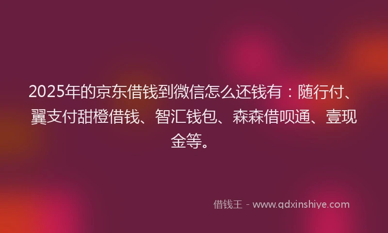 2025年的京东借钱到微信怎么还钱有：随行付、翼支付甜橙借钱、智汇钱包、森森借呗通、壹现金等。