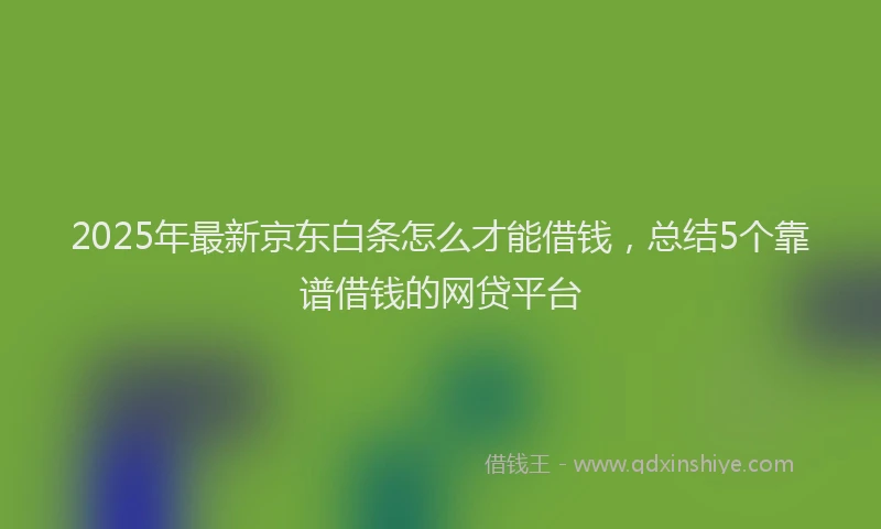 2025年最新京东白条怎么才能借钱，总结5个靠谱借钱的网贷平台