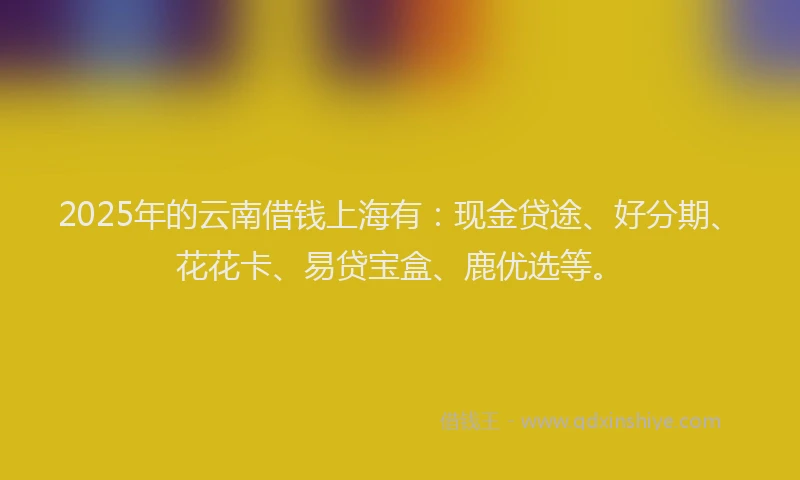 2025年的云南借钱上海有：现金贷途、好分期、花花卡、易贷宝盒、鹿优选等。
