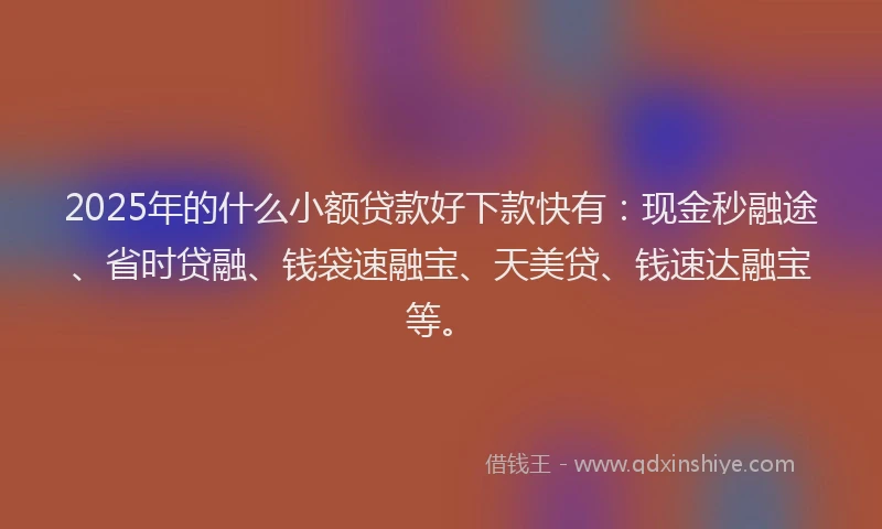 2025年的什么小额贷款好下款快有：现金秒融途、省时贷融、钱袋速融宝、天美贷、钱速达融宝等。