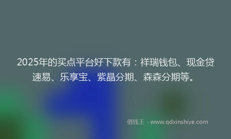 2025年的买点平台好下款有：祥瑞钱包、现金贷速易、乐享宝、紫晶分期、森森分期等。