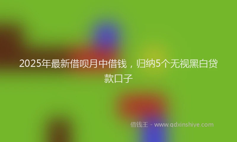 2025年最新借呗月中借钱，归纳5个无视黑白贷款口子