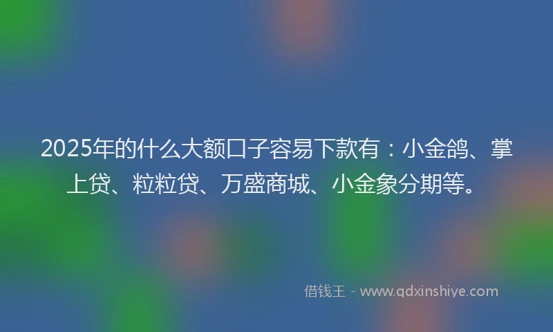 2025年的什么大额口子容易下款有：小金鸽、掌上贷、粒粒贷、万盛商城、小金象分期等。