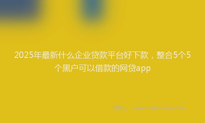 2025年最新什么企业贷款平台好下款，整合5个5个黑户可以借款的网贷app