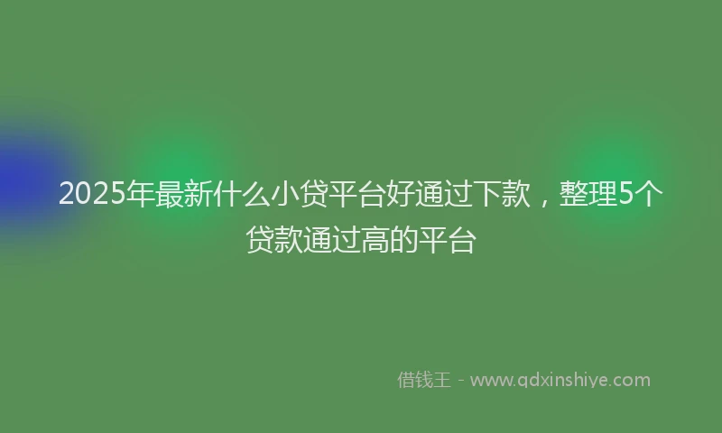 2025年最新什么小贷平台好通过下款，整理5个贷款通过高的平台