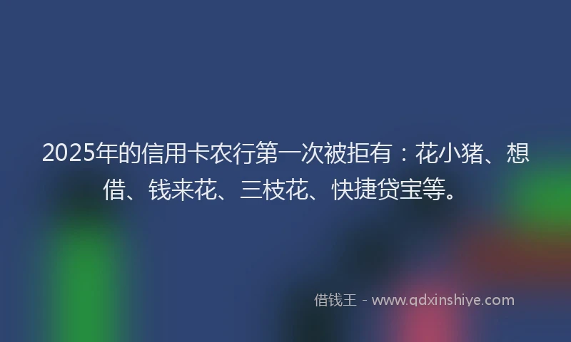 2025年的信用卡农行第一次被拒有：花小猪、想借、钱来花、三枝花、快捷贷宝等。