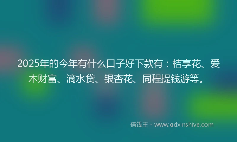 2025年的今年有什么口子好下款有：桔享花、爱木财富、滴水贷、银杏花、同程提钱游等。