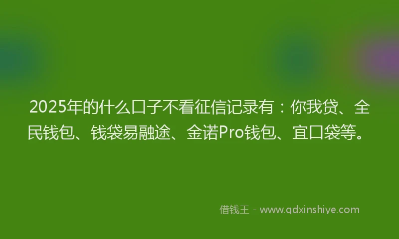 2025年的什么口子不看征信记录有：你我贷、全民钱包、钱袋易融途、金诺Pro钱包、宜口袋等。