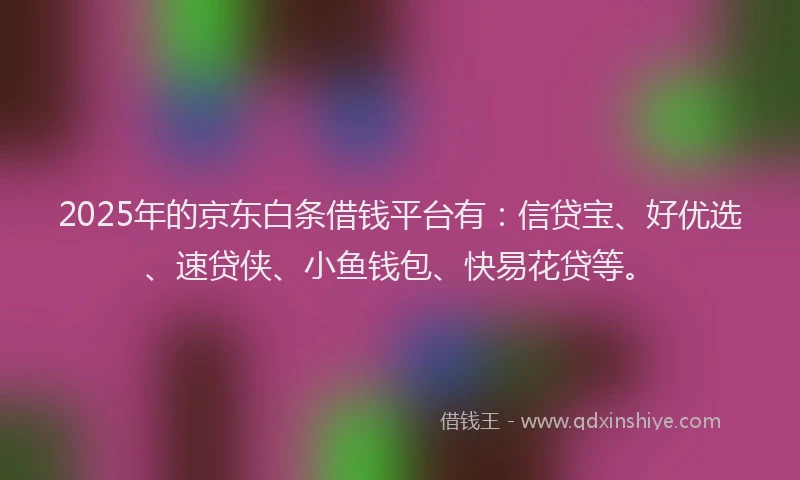 2025年的京东白条借钱平台有：信贷宝、好优选、速贷侠、小鱼钱包、快易花贷等。