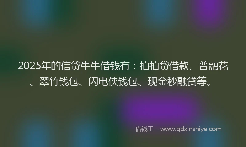 2025年的信贷牛牛借钱有：拍拍贷借款、普融花、翠竹钱包、闪电侠钱包、现金秒融贷等。