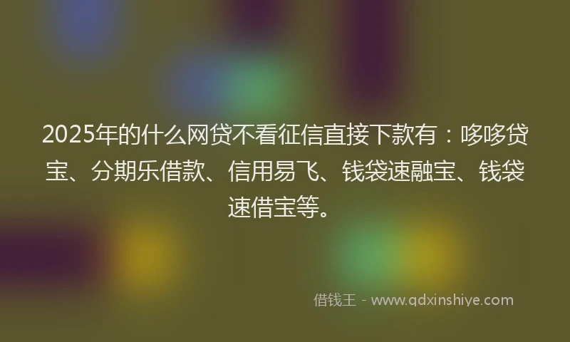 2025年的什么网贷不看征信直接下款有：哆哆贷宝、分期乐借款、信用易飞、钱袋速融宝、钱袋速借宝等。