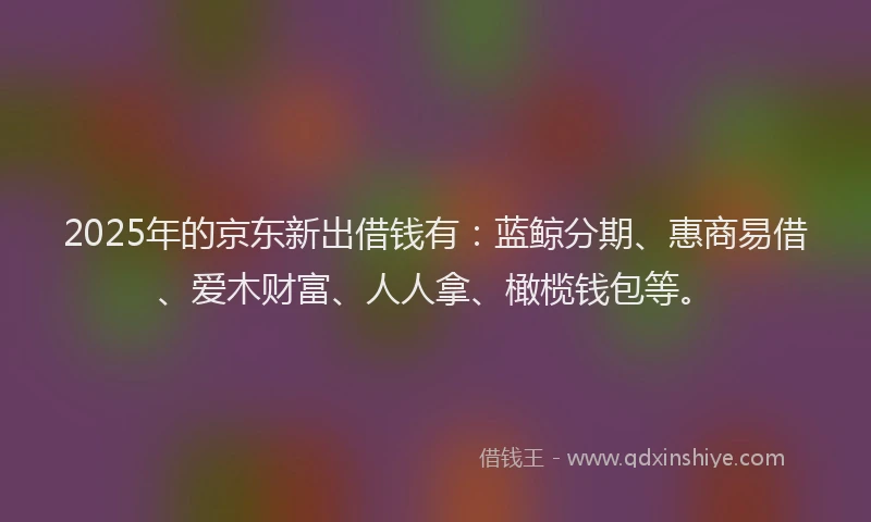 2025年的京东新出借钱有：蓝鲸分期、惠商易借、爱木财富、人人拿、橄榄钱包等。