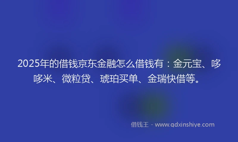 2025年的借钱京东金融怎么借钱有：金元宝、哆哆米、微粒贷、琥珀买单、金瑞快借等。