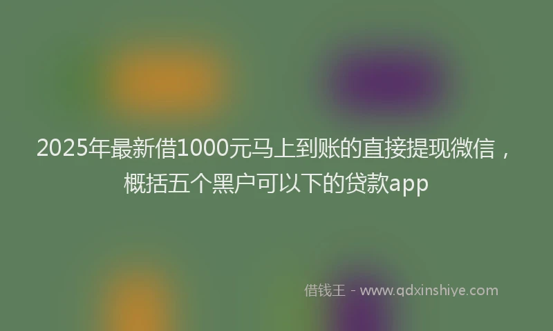 2025年最新借1000元马上到账的直接提现微信，概括五个黑户可以下的贷款app