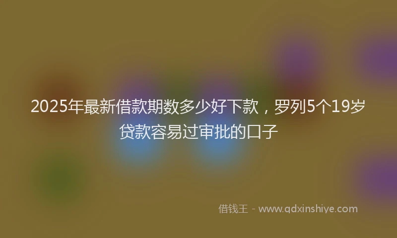 2025年最新借款期数多少好下款，罗列5个19岁贷款容易过审批的口子