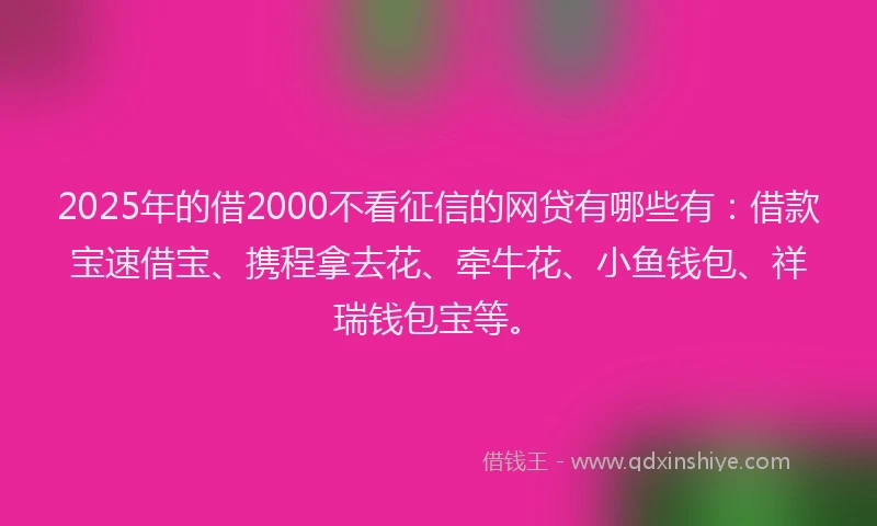 2025年的借2000不看征信的网贷有哪些有：借款宝速借宝、携程拿去花、牵牛花、小鱼钱包、祥瑞钱包宝等。