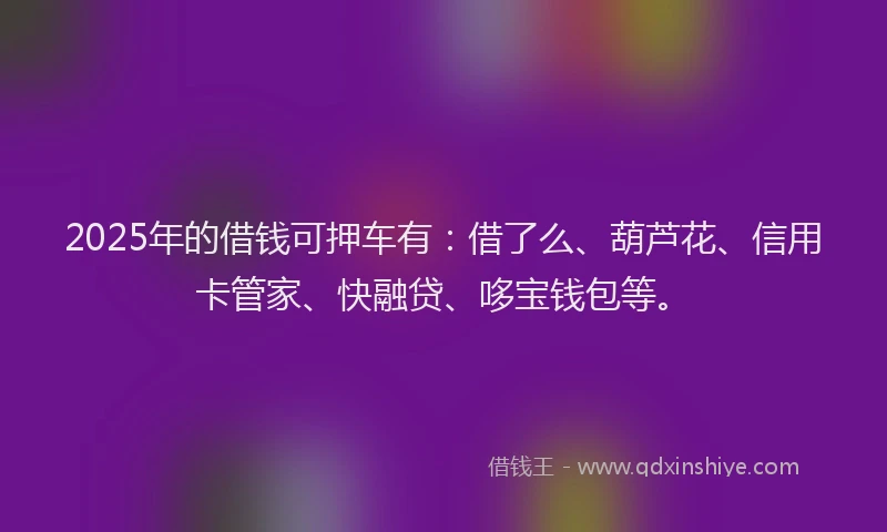 2025年的借钱可押车有：借了么、葫芦花、信用卡管家、快融贷、哆宝钱包等。