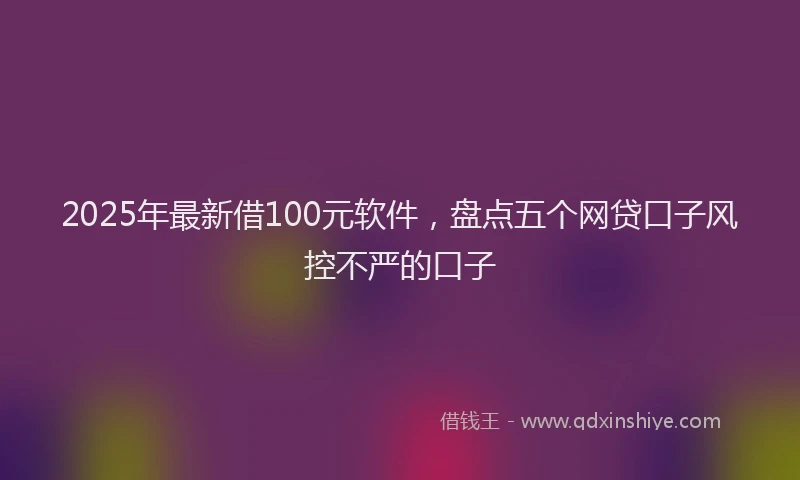 2025年最新借100元软件，盘点五个网贷口子风控不严的口子