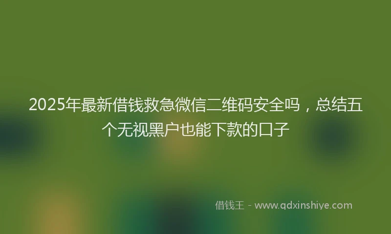 2025年最新借钱救急微信二维码安全吗，总结五个无视黑户也能下款的口子