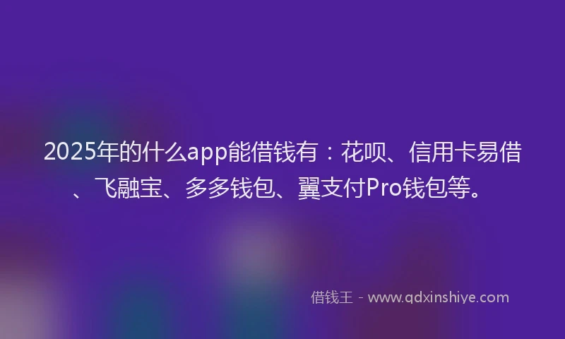 2025年的什么app能借钱有：花呗、信用卡易借、飞融宝、多多钱包、翼支付Pro钱包等。