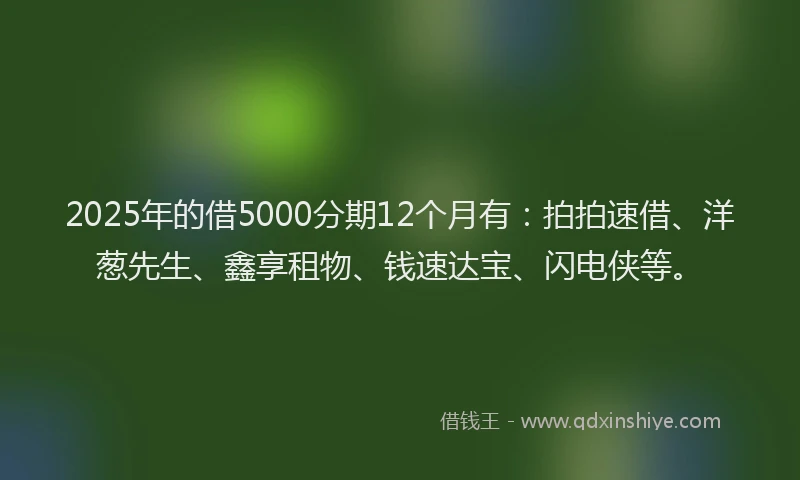 2025年的借5000分期12个月有：拍拍速借、洋葱先生、鑫享租物、钱速达宝、闪电侠等。