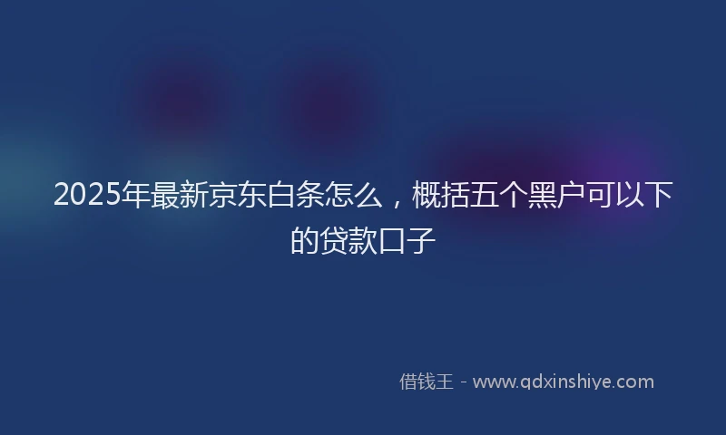2025年最新京东白条怎么，概括五个黑户可以下的贷款口子