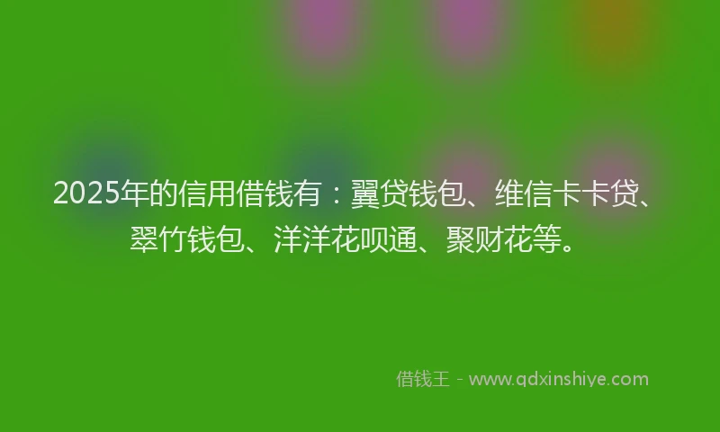 2025年的信用借钱有：翼贷钱包、维信卡卡贷、翠竹钱包、洋洋花呗通、聚财花等。