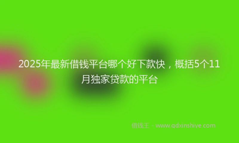 2025年最新借钱平台哪个好下款快，概括5个11月独家贷款的平台