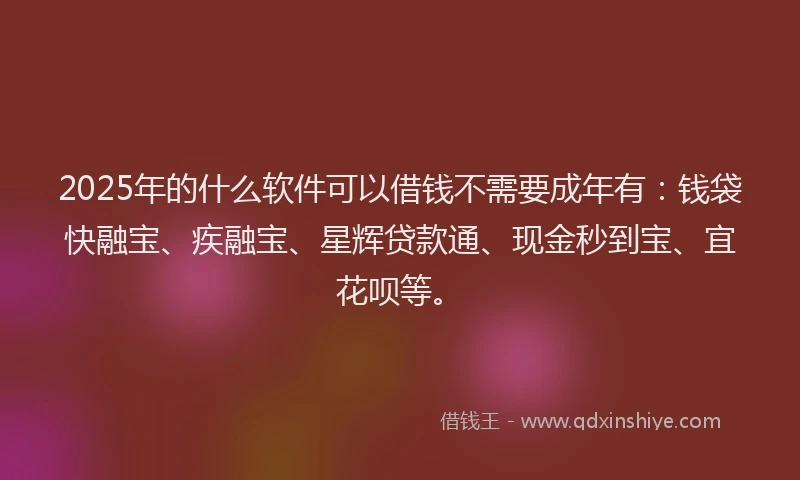 2025年的什么软件可以借钱不需要成年有：钱袋快融宝、疾融宝、星辉贷款通、现金秒到宝、宜花呗等。