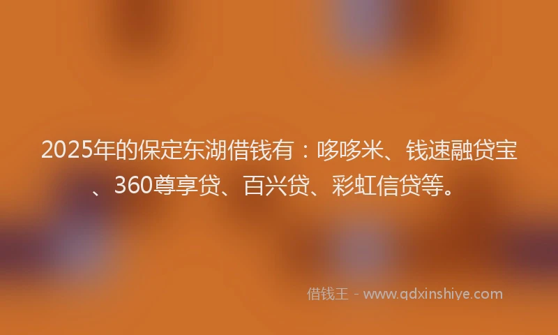 2025年的保定东湖借钱有：哆哆米、钱速融贷宝、360尊享贷、百兴贷、彩虹信贷等。