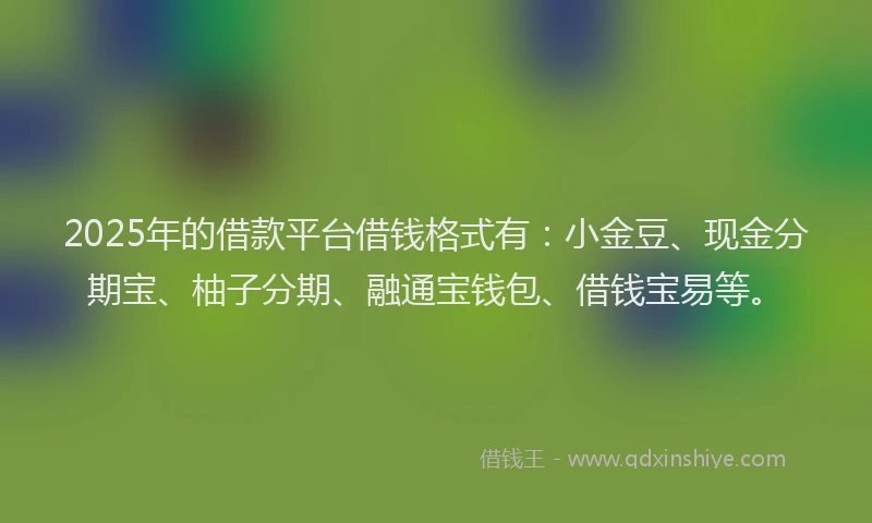 2025年的借款平台借钱格式有：小金豆、现金分期宝、柚子分期、融通宝钱包、借钱宝易等。