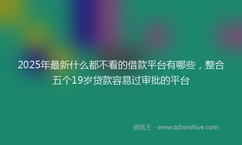 2025年最新什么都不看的借款平台有哪些，整合五个19岁贷款容易过审批的平台