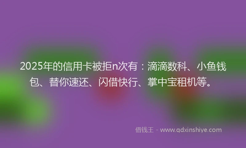 2025年的信用卡被拒n次有：滴滴数科、小鱼钱包、替你速还、闪借快行、掌中宝租机等。
