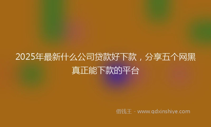 2025年最新什么公司贷款好下款，分享五个网黑真正能下款的平台