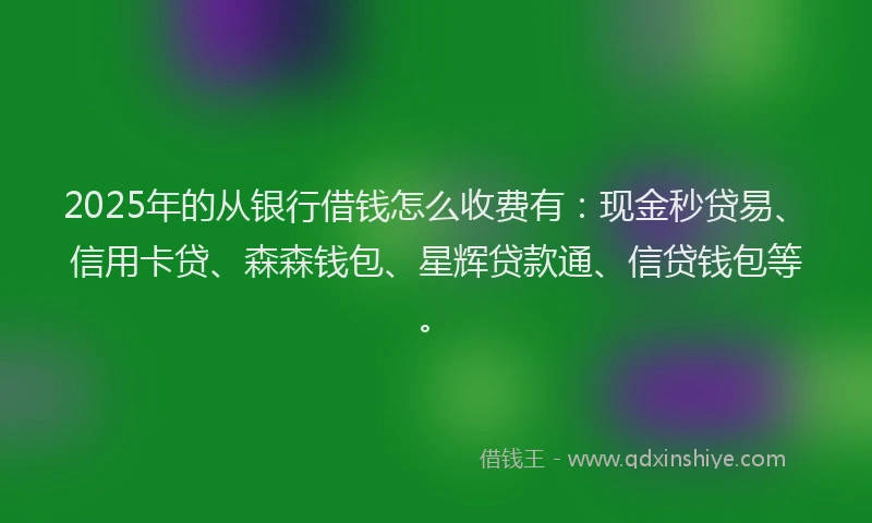 2025年的从银行借钱怎么收费有：现金秒贷易、信用卡贷、森森钱包、星辉贷款通、信贷钱包等。