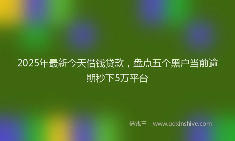 2025年最新今天借钱贷款，盘点五个黑户当前逾期秒下5万平台