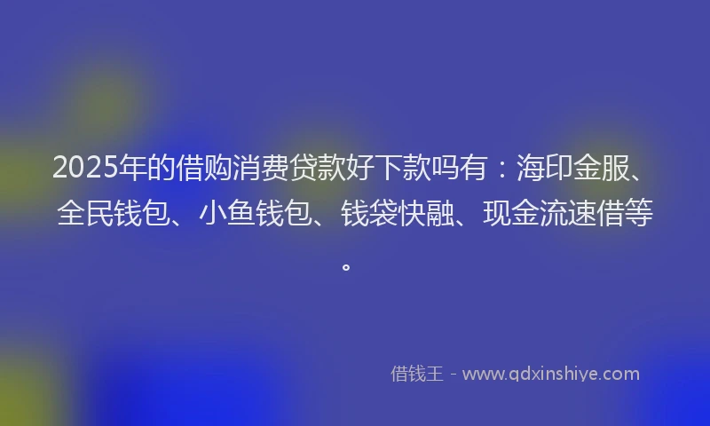 2025年的借购消费贷款好下款吗有：海印金服、全民钱包、小鱼钱包、钱袋快融、现金流速借等。