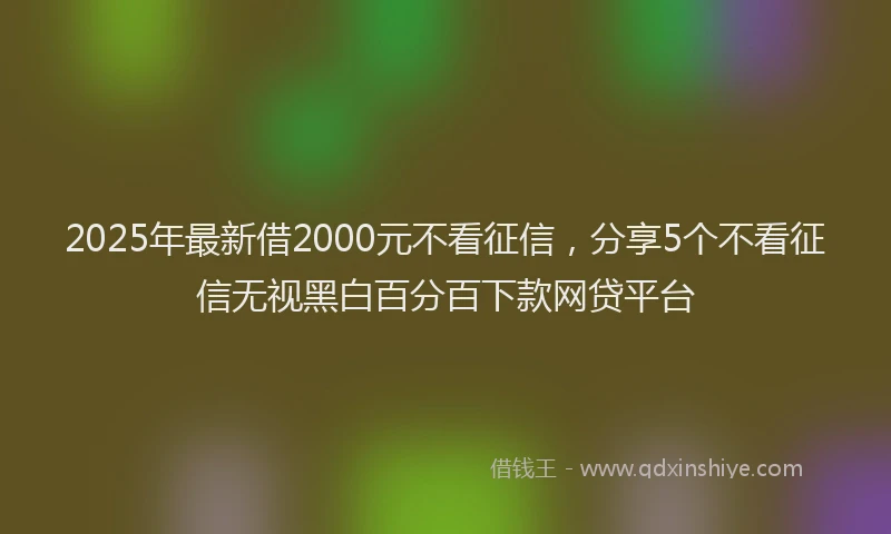 2025年最新借2000元不看征信，分享5个不看征信无视黑白百分百下款网贷平台