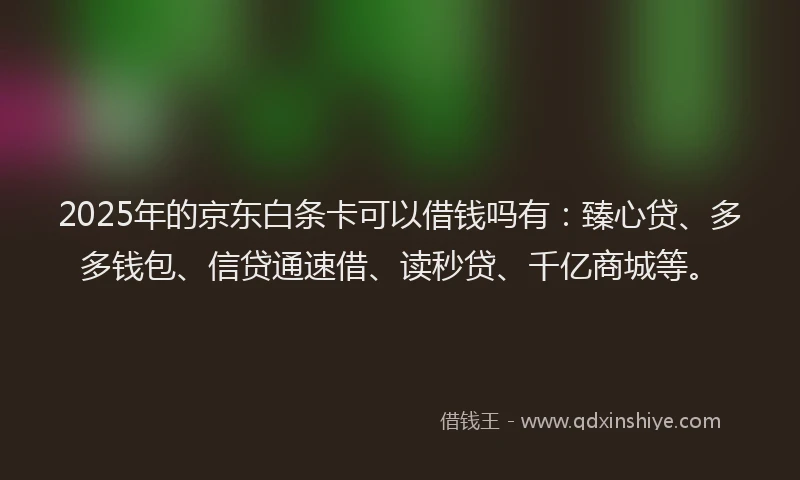 2025年的京东白条卡可以借钱吗有：臻心贷、多多钱包、信贷通速借、读秒贷、千亿商城等。