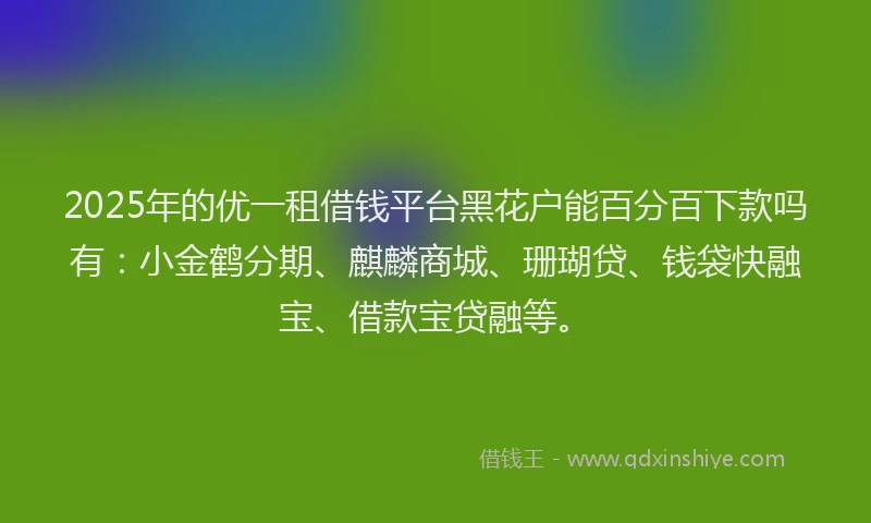 2025年的优一租借钱平台黑花户能百分百下款吗有：小金鹤分期、麒麟商城、珊瑚贷、钱袋快融宝、借款宝贷融等。