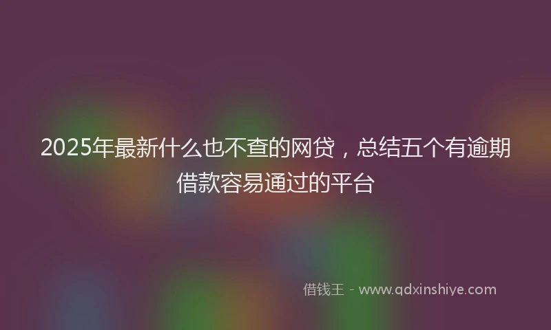 2025年最新什么也不查的网贷，总结五个有逾期借款容易通过的平台