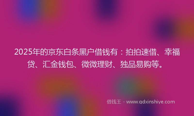 2025年的京东白条黑户借钱有：拍拍速借、幸福贷、汇金钱包、微微理财、独品易购等。