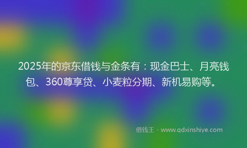 2025年的京东借钱与金条有：现金巴士、月亮钱包、360尊享贷、小麦粒分期、新机易购等。