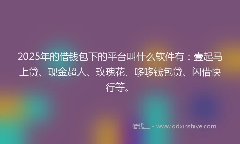 2025年的借钱包下的平台叫什么软件有：壹起马上贷、现金超人、玫瑰花、哆哆钱包贷、闪借快行等。