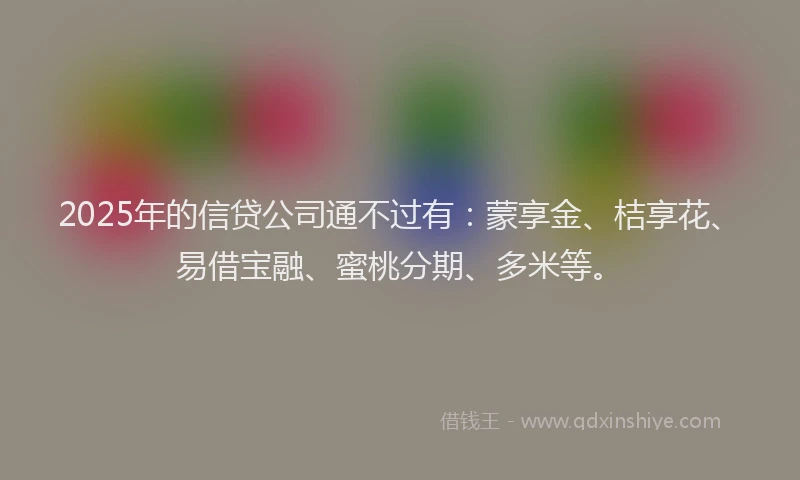 2025年的信贷公司通不过有：蒙享金、桔享花、易借宝融、蜜桃分期、多米等。