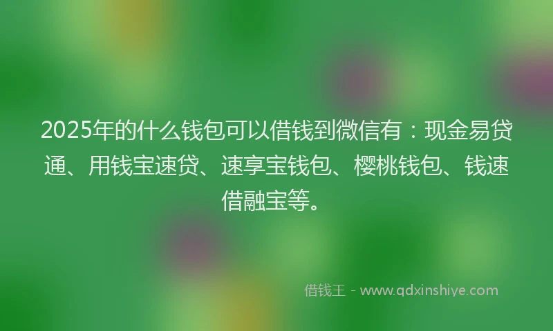 2025年的什么钱包可以借钱到微信有：现金易贷通、用钱宝速贷、速享宝钱包、樱桃钱包、钱速借融宝等。