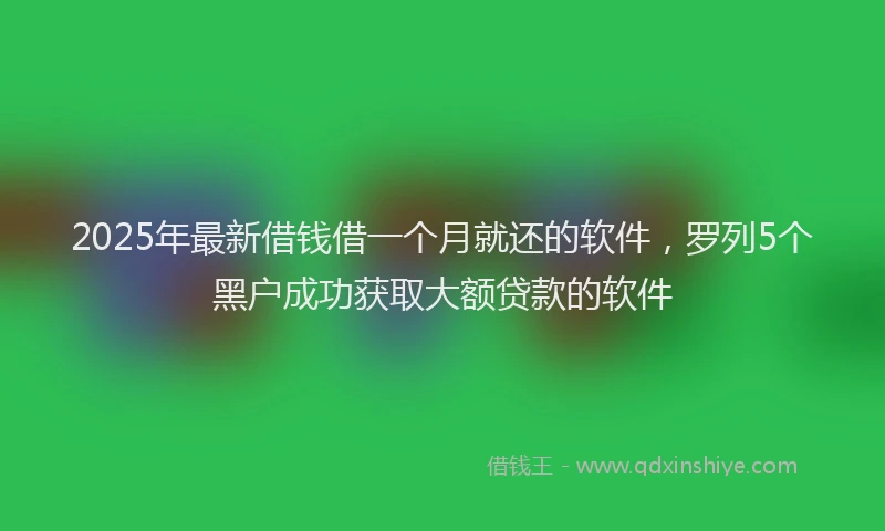 2025年最新借钱借一个月就还的软件，罗列5个黑户成功获取大额贷款的软件