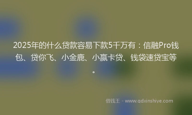 2025年的什么贷款容易下款5千万有：信融Pro钱包、贷你飞、小金鹿、小赢卡贷、钱袋速贷宝等。