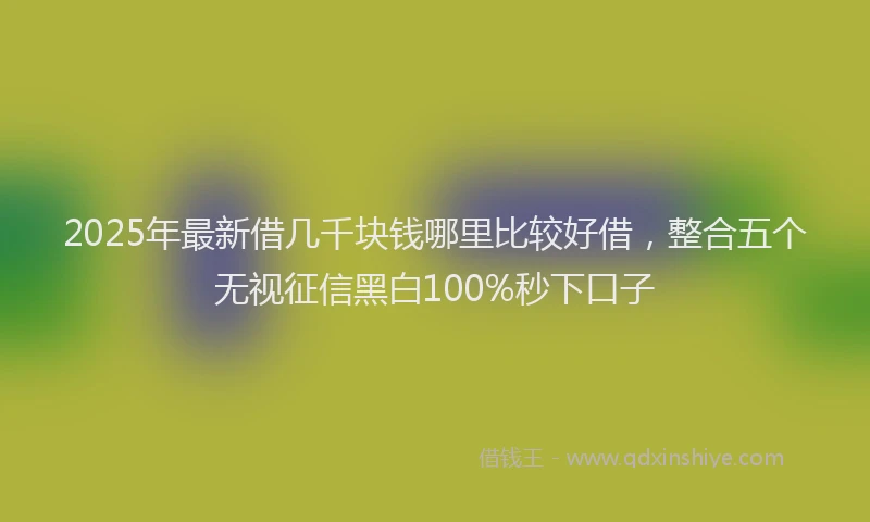 2025年最新借几千块钱哪里比较好借，整合五个无视征信黑白100%秒下口子